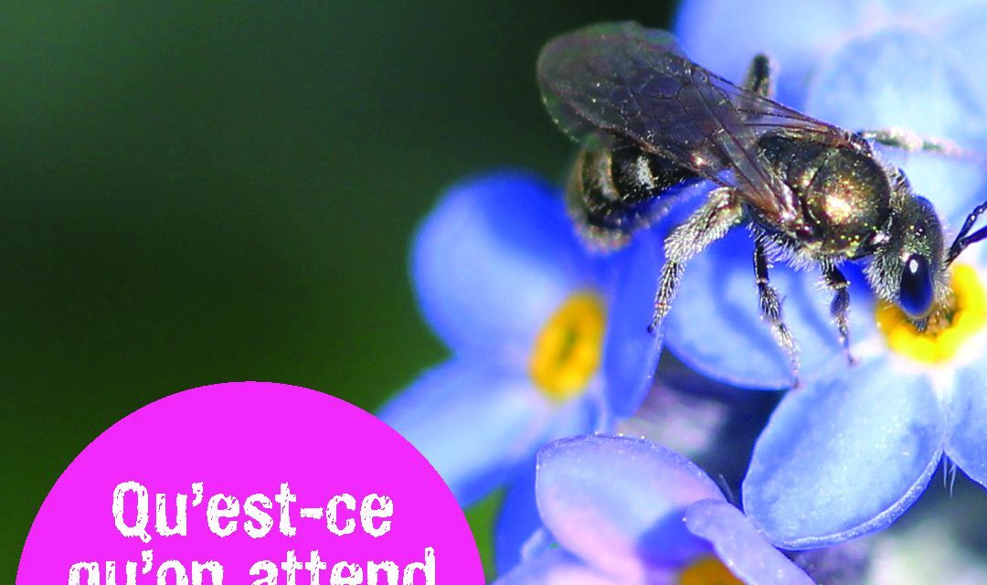 Les pesticides au jardin sont interdits depuis le 1er janvier 2019 !