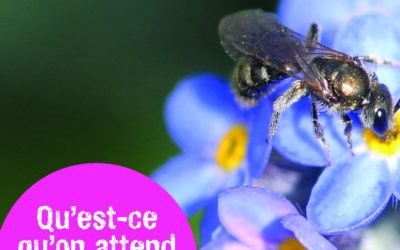Les pesticides au jardin sont interdits depuis le 1er janvier 2019 !