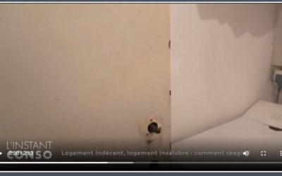 Logement indécent, logement insalubre : comment réagir ?