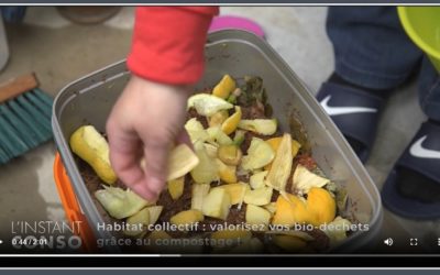 Habitat collectif : valorisez vos biodéchets grâce au compostage !