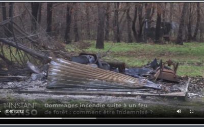 Dommages incendie suite à un feu de forêt : comment être indemnisé ?