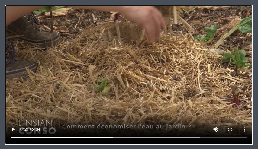 economiser-leau-jardin