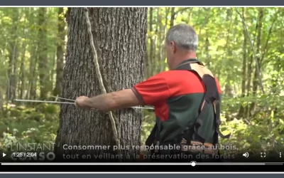 Consommer plus responsable grâce au bois