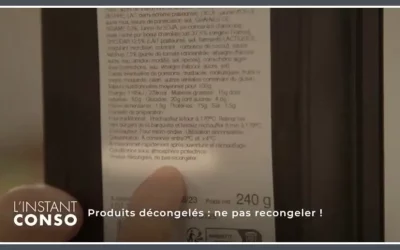 Produits décongelés : ne pas recongeler !