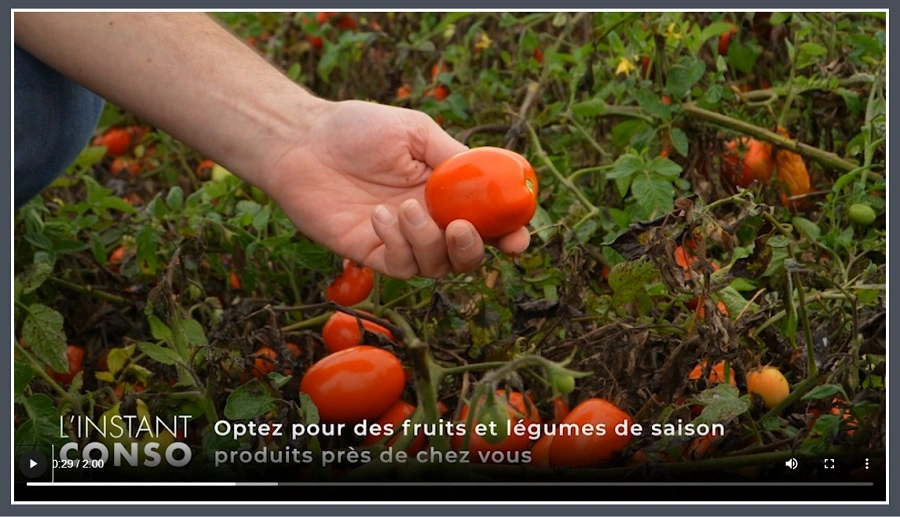 fruits et légumes de saison