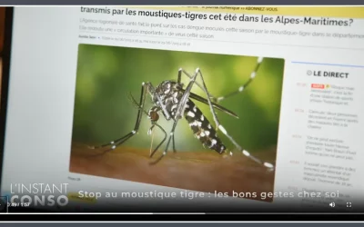 Stop au moustique tigre : les bons gestes chez soi !
