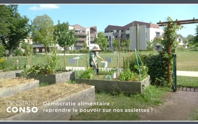 Démocratie alimentaire : reprendre le pouvoir sur nos assiettes !